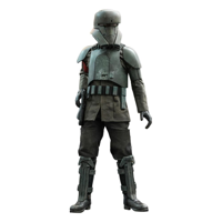 Hot Toys Star Wars Transport Trooper