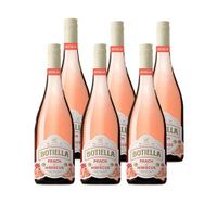 Botiella Peach & Hibiscus (6 flessen)