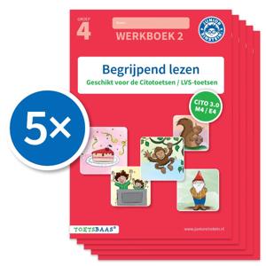 Begrijpend lezen werkboek 2 (Set van 5) (Paperback)