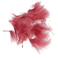 Hobby knutsel veren - 20x - rood - 7 cm - sierveren - decoratie