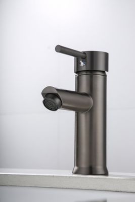 Wastafelkraan SaniClear Iron | Opbouw | Mengkraan | Laag model | 1-hendel | Rond | Verouderd ijzer - gunmetal