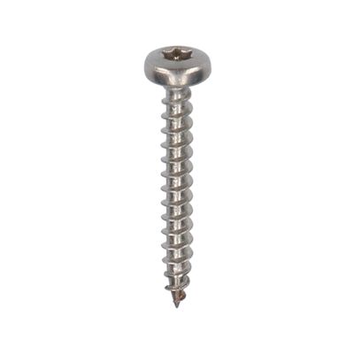 Keralit Torx rvs schroef 30 mm 200 st (2801)