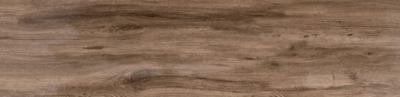 Buiten Tegel Wood Skagen Trend Oak 40x120x2 rect