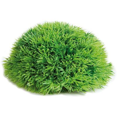 Aquarium plant Halve Mosbal - dia 12 cm 11 x 11 x 5 cm Flamingo Groen