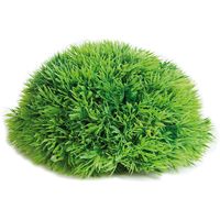 Aquarium plant Halve Mosbal - dia 12 cm 11 x 11 x 5 cm Flamingo Groen - thumbnail