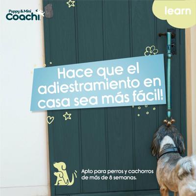Hondentuigje Coachi