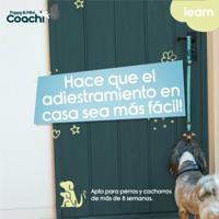 Hondentuigje Coachi