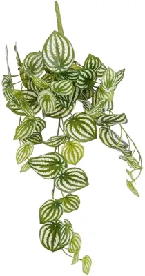 Mica Decorations kunst hangplant peperomia 65cm groen