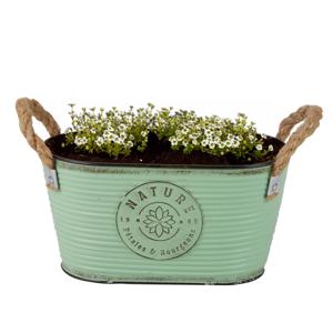 Plantenpot/bloempot teil voor buiten - zink - jadegroen - L24 x D14 x H12 cm