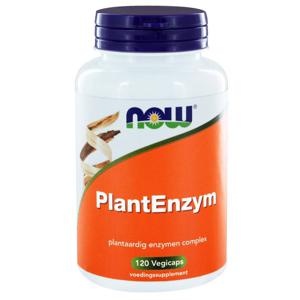 Plant Enzym 120 vegicaps