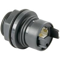 Bulgin PXP6033/TP Sensor/actuator dataconnector Aantal polen (sensoren): 8P8C Bus, inbouw 1 stuk(s) - thumbnail