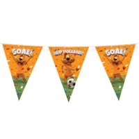 Loeki de Leeuw Hup Holland vlaggenlijn oranje 10 meter - thumbnail