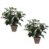 Cordyline kunstplant - 2x stuks - groen - H33 cm x D25 cm - grijze sierpot - kamerplant