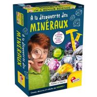 Mineral Discovery - Wetenschappelijke kit - IK BEN EEN GENIUS POCKET - Graafblok