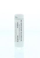 Homeoden Heel Myosotis arvensis D6 6 Gram