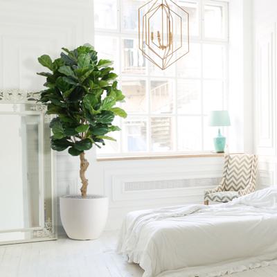 Lyrata deluxe kunstplant 155cm