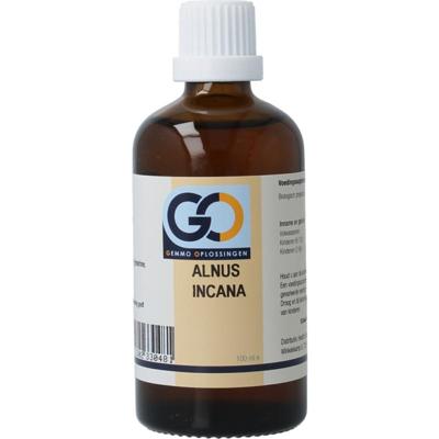 GO GO alnus incana bio