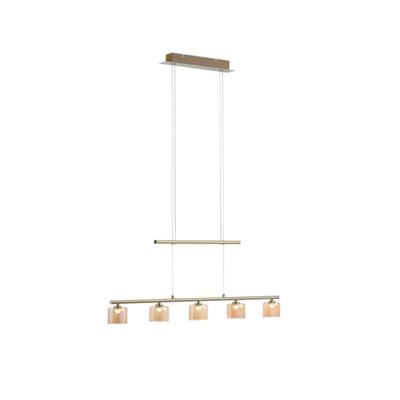 Paul Neuhaus 5-lichts hanglampHydra messing - 2209-60