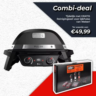 Weber Pulse 2000