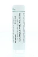 Homeoden Heel Hamamelis virginiana D6 6 Gram