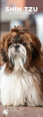 Shih Tzu Slimline Kalender 2026