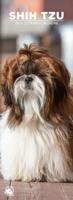 Shih Tzu Slimline Kalender 2026
