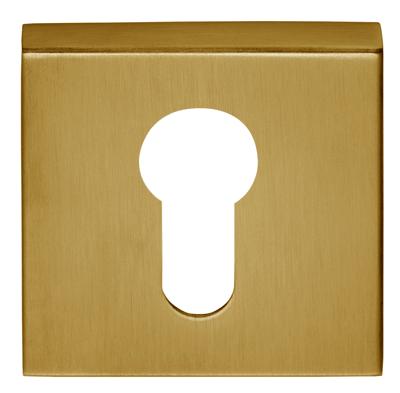 Formani Basics BSQY53 cilinderplaatje vierkant - PVD mat goud