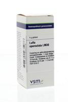 VSM Luffa operculata LM30 4 Gram