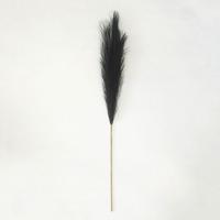 Pampas gras 100 cm Zwart kunstplant - Buitengewoon de boet