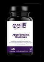 Acetylcholine essentials 60 Capsules