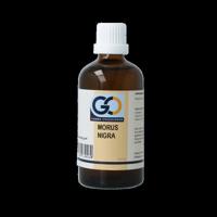 GO Morus nigra bio 100 Milliliter