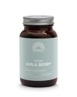 Mattisson Absolute amla berry extract 500mg