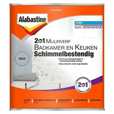 Alabastine 2In1 Muurverf B&K Grijs 1L - 5256777