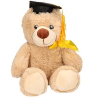 Geslaagd thema cadeau pluche knuffel beer beige 20 cm - thumbnail