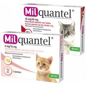 Milquantel ontwormingstabletten voor de kat Kat 2+ kg 3 x 4 tabletten