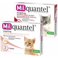 Milquantel ontwormingstabletten voor de kat Kat 2+ kg 3 x 4 tabletten