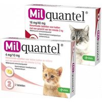 Milquantel ontwormingstabletten voor de kat Kat 2+ kg 2 x 4 tabletten - thumbnail