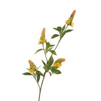 Roberts Collection Kunsttak pachystachys geel 95cm