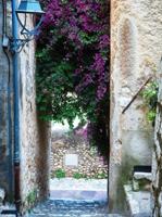 Bougainville steeg 50x70cm Tuinschilderij - Customize it