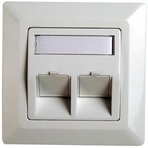 Telegärtner Frame for RJ45 adaptor Cat.5e, 45° outlet, double, 80x80 mm, alpine white