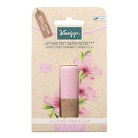 Lipcare almond candelilla