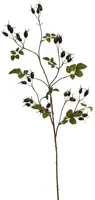 Pure Royal kunsttak rozenbottel 95cm zwart Pure Royal kunsttak rozenbottel 95cm zwart