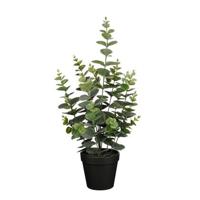 Mica Decorations Eucalyptus Kunstplant - H53 x Ø23 cm - Groen