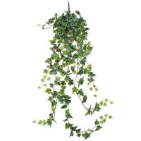 Mica Decorations Hedera Kunstplant Hangend 129 cm Bont