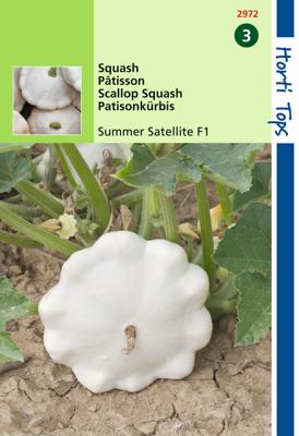 Patisson Summer Satellite F1 - Hortitops