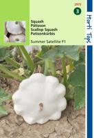 Patisson Summer Satellite F1 - Hortitops