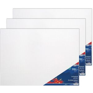 3x Schildersdoeken luxe kwaliteit 50 x 70 cm