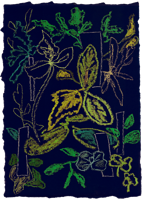 Moooi Carpets - Vloerkleed Sprouts Scarlet Blue Wool - - thumbnail