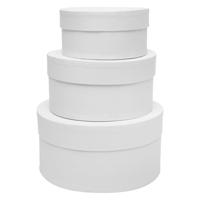 Colorations - papier-mache dozen rond, 3st.