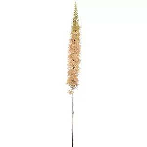 Kunstbloem Eremurus 110cm - Vanille